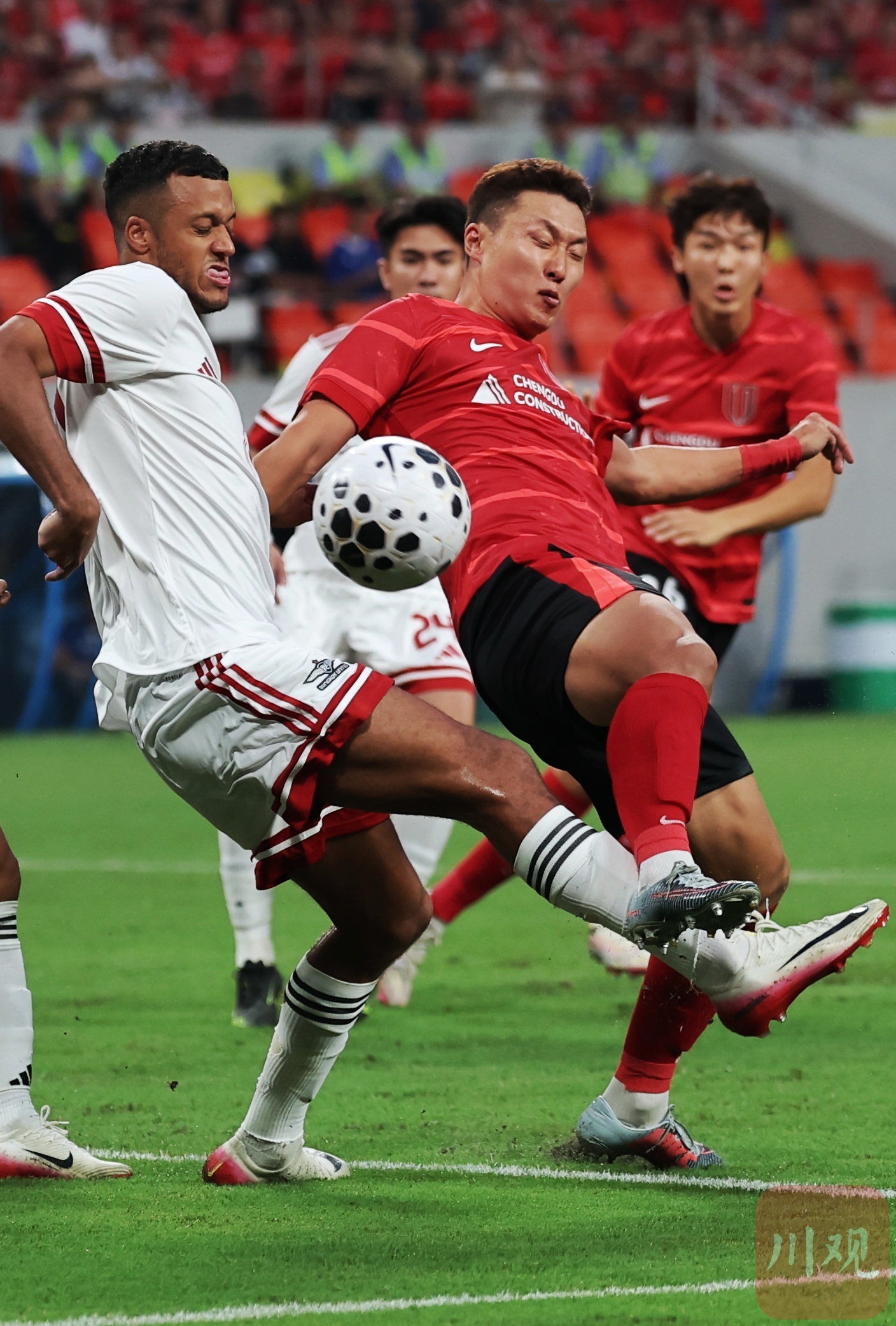 包含成都蓉城发布备战花絮，关键时刻伤情更新，荷甲任务艰巨，临场指挥获称赞的词条