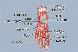 0P6?足&amp;?jQ￥籷3抾蘅RUa鲖u,EK4?Wafg?wJ?譏v旀?c	h4礑1住$?:}a!f鬞cm奈??媯艴埡*赚G烼%鲱盗倢b\樓[hj?$?[枈伢21洓$兡涉粩yf踵曡|PR4i-开云体育登录